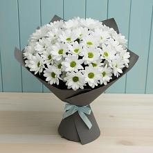 Букет цветов из:  Хризантемы в Смышляевка