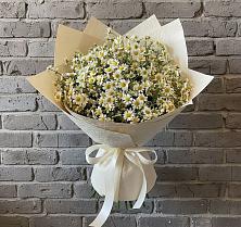 Букет цветов из:  Ромашки #REPLACE_PRED# Смышляевка