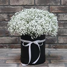 Цветочная композиция из Гипсофила в шляпной коробке #REPLACE_PRED# Смышляевка