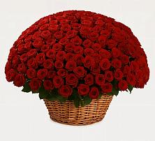 Премиум букет из: Розы в Смышляевка