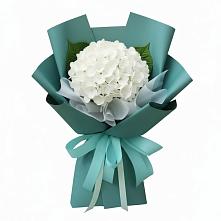 Букет цветов из:  Гортензия в Смышляевка